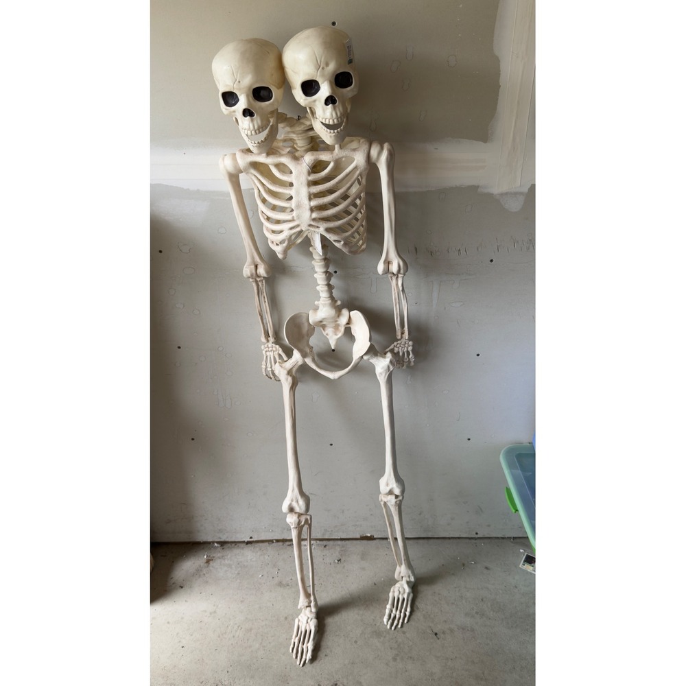 Halloween Life Size Two Headed Skeleton Poseable Conjoined Twin Prop 5ft Bone